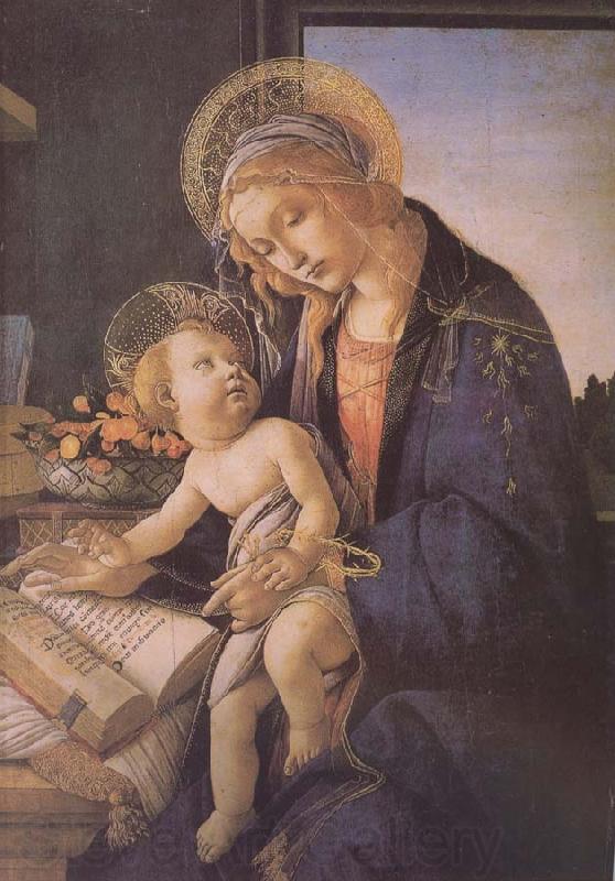 Sandro Botticelli Son of Our Lady of teaching reading Germany oil painting art